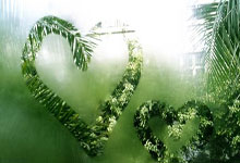 雷竞技- 东契奇因伤缺战 